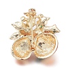 Golden Plated Alloy Brooches X-JEWB-L011-027G-2