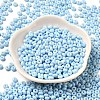 Baking Paint Glass Seed Beads X1-SEED-B001-02A-08-2