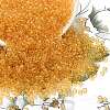 TOHO 8/0 Round Beads SEED-XTR08-0002A-1