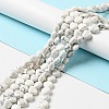 Natural Howlite Beads Strands G-B022-09B-2