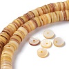 Natural Freshwater Shell Beads Strands BSHE-I016-04B-4