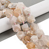 Natural Cherry Blossom Agate Beads Strands G-NH0010-E02-01-2