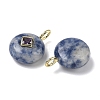 Natural Blue Spot Jasper Pendants G-I391-01G-06-2