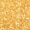 Glass Bugle Beads X1-SEED-B001-03A-03-3