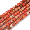 Dyed Natural Regalite/Imperial Jasper/Sea Sediment Jasper Beads Strands G-B124-C05-03-1