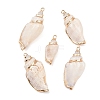 5Pcs Electroplated Natural Shell Pendants BSHE-YW0001-10-1