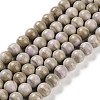 Natural Rainbow Alashan Agate Beads Strands G-NH0022-A09-02-1
