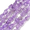 Natural Amethyst(Dyed & Heated) Beads Strands G-P497-01E-22-1