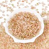Baking Paint Transparent Glass Beads DGLA-T004-06I-1