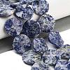 Natural Blue Spot Jasper Beads Strands G-Z061-B07-02-2