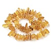 Natural Amber Beads Strands G-L095-D01-03-3