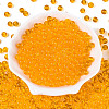FGB Transparent Glass Seed Beads SEED-N013-01B-11-2