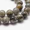Natural Labradorite Bead Strands G-G735-29-6mm-3