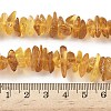 Natural Amber Beads Strands G-L095-D01-06-5