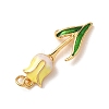 Brass with Enamel Pendants KK-CBA2F11-06G-02-2