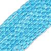 Transparent Glass Beads Strands GLAA-Z018-C23-1