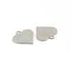 304 Stainless Steel Charms STAS-D431-27-2