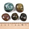 Natural Ocean Jasper Beads GG-CBAD0F6-B18-01-2