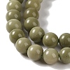 Natural Alashan Agate Beads Strands G-P530-B05-02-4