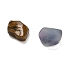 20Pcs Natural Mixed Stone Nuggets Collections G-M425-01B-3