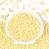 Baking Paint Glass Seed Beads SEED-T007-15B-1