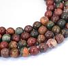 Natural Picasso Stone/Picasso Jasper Beads Strands G-E334-10mm-10-1