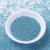 MIYUKI Delica Beads SEED-JP0008-DB1209-2