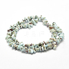 Natural Larimar Beads Strands G-P302-03-2