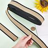 Polyester Braid Ribbon OCOR-WH0068-31B-2
