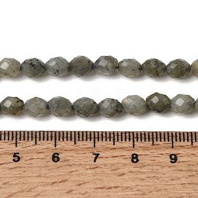 Natural Labradorite Beads Strands G-K376-F07-01-1
