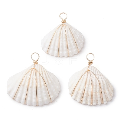 Copper Wire Wrapped Shell Pendants PALLOY-JF02706-1