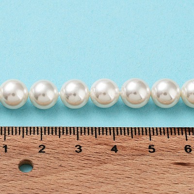Shell Pearl Bead Strands X-BSHE-L026-03-8mm-1