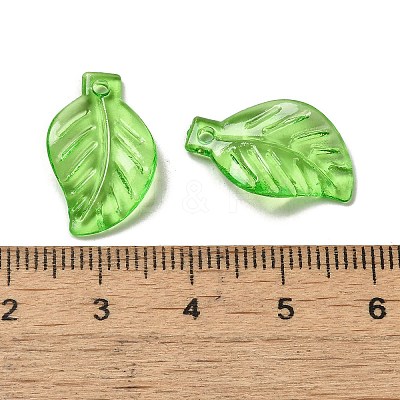 Transparent Acrylic Pendant OACR-E039-69B-1