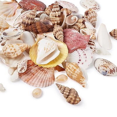 Mixed Shell Beads BSHE-TA0002-05-1