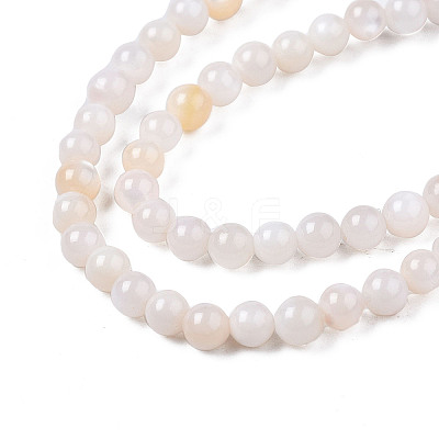 Natural Freshwater Shell Beads Strands X-BSHE-T009A-01B-1