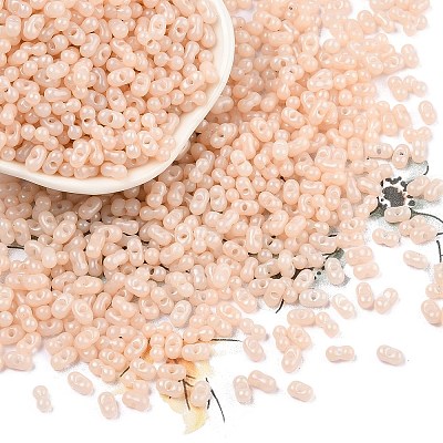 Baking Paint Glass Seed Beads SEED-L011-09A-11-1
