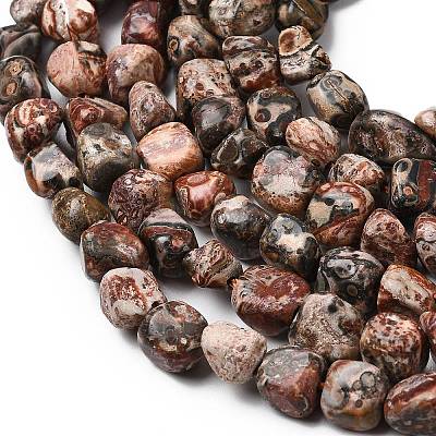 Natural Leopard Skin Jasper Beads Strands G-B161-A03-01-1