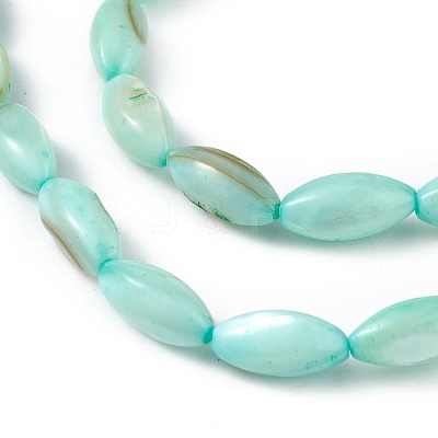 Natural Freshwater Shell Dyed Beads Strands SHEL-M018-13-02-1