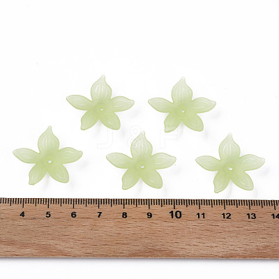 Transparent Acrylic Beads MACR-S373-127-D06-1
