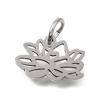 304 Stainless Steel Charms SA-CBA4CE0-01P-F-1