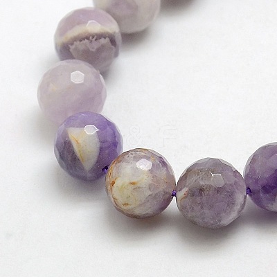Natural Gemstone Amethyst Round Beads Strands X-G-O021-12mm-13-1
