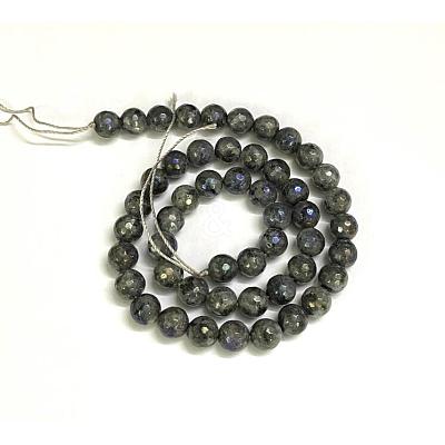 Electroplate Natural Labradorite Beads Strands X-G-L150-8mm-01-1