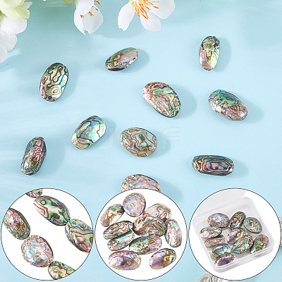 1 Strand Natural Abalone Shell/Paua Shell Beads Strands SSHEL-SC0001-64-1