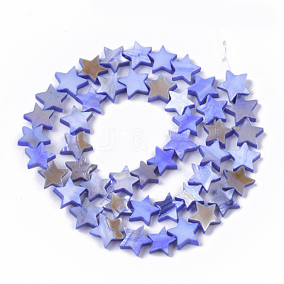 Freshwater Shell Beads Strands SHEL-T014-009A-1