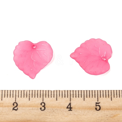 Transparent Acrylic Pendants X-PL591-3-1