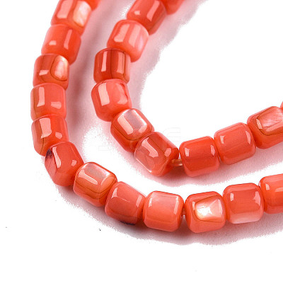 Natural Freshwater Shell Beads Strands X-SHEL-N003-33-A06-1