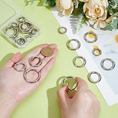 24Pcs 6 Styles Zinc Alloy Spring Gate Rings FIND-ME0002-10-1