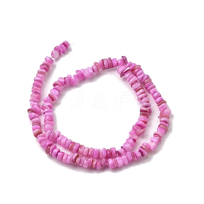 Natural Freshwater Shell Beads SHEL-B003-01F-1