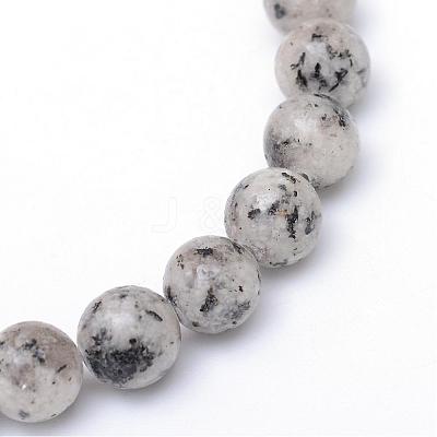 Natural Sesame Jasper/Kiwi Jasper Bead Strands G-R345-8mm-11-1