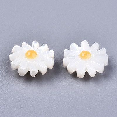 Natural White Shell Mother of Pearl Shell Beads SHEL-S266-13B-1